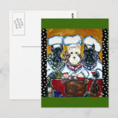Scottish Terrier Koch Postkarte (Vorne/Hinten)