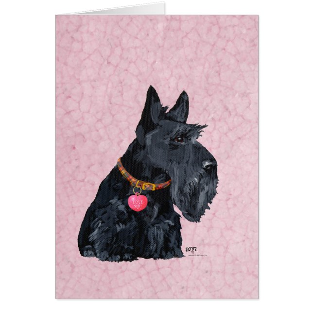 Scottish Terrier Liebe (Vorne)