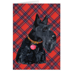 Scottish Terrier Liebe