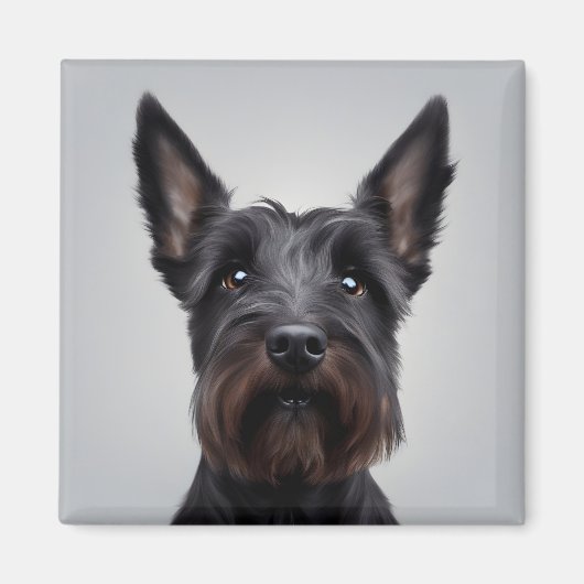 Scottish Terrier Magnet (Vorne)