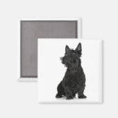 Scottish Terrier Magnet (Vorderseite/Rückseite)