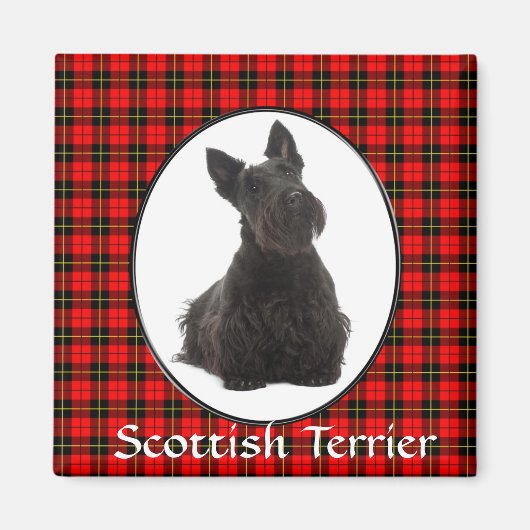 Scottish Terrier Magnet (Vorne)