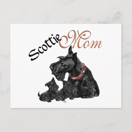 Scottish Terrier Mama & Pups für den Muttertag Postkarte (Vorderseite)
