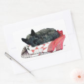 Scottish Terrier Napping Rechteckiger Aufkleber (Umschlag)