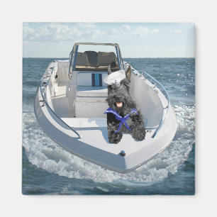 Scottish Terrier on Boat Magnet