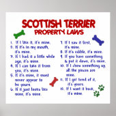 SCOTTISH TERRIER PL2 POSTER (Vorne)