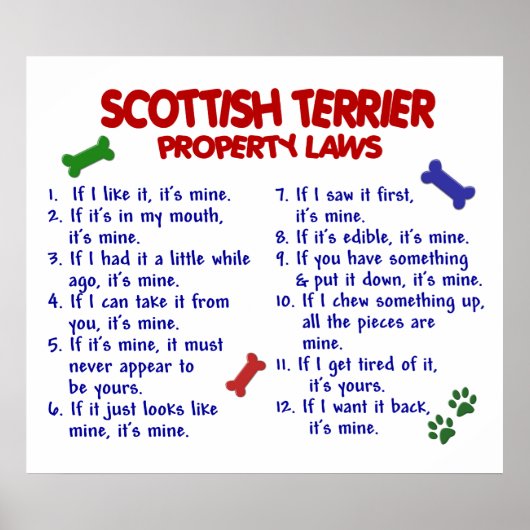 SCOTTISH TERRIER PL2 POSTER (Vorne)