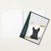 Scottish Terrier  Planer (Anzeige)
