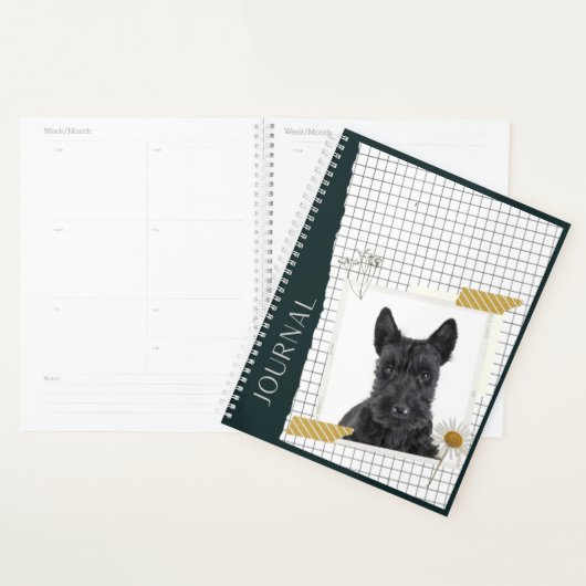 Scottish Terrier Planer (Anzeige)