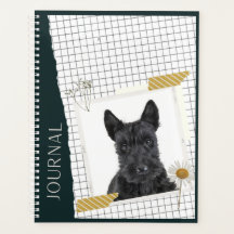 Scottish Terrier 