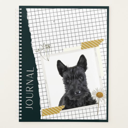 Scottish Terrier  Planer (Vorderseite)