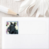 Scottish Terrier Portrait (Insitu)