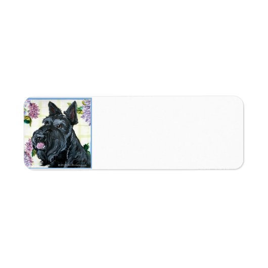 Scottish Terrier Portrait (Vorne)