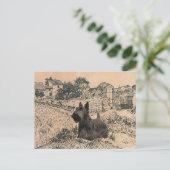 Scottish Terrier Post Card Postkarte (Stehend Vorderseite)