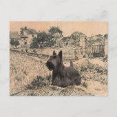 Scottish Terrier Post Card Postkarte (Vorderseite)