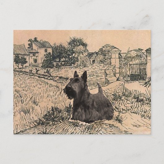 Scottish Terrier Post Card Postkarte (Vorderseite)