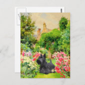 Scottish Terrier Post Card Postkarte (Vorne/Hinten)
