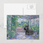 Scottish Terrier Post Card Postkarte (Vorne/Hinten)