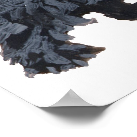 Scottish Terrier Poster (Ecke)