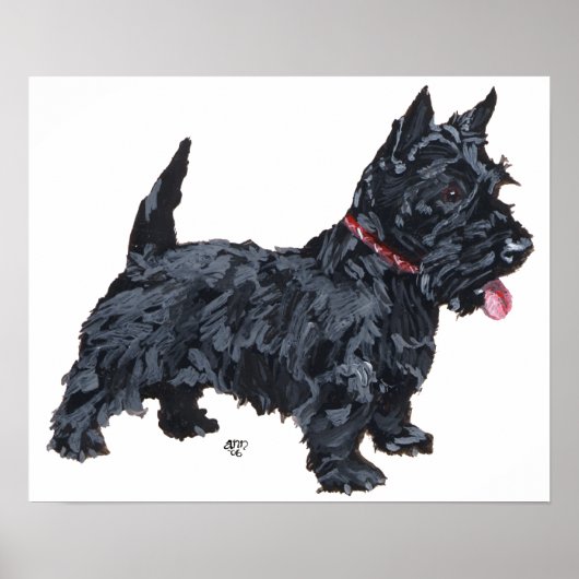 Scottish Terrier Poster (Vorne)