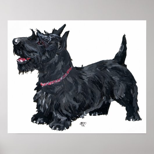 Scottish Terrier Poster (Vorne)