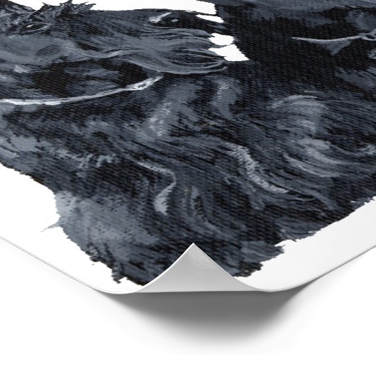 Scottish Terrier Poster (Ecke)