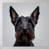 Scottish Terrier Poster (Vorne)