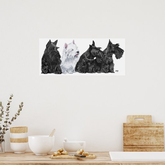 Scottish Terrier Poster (Küche)