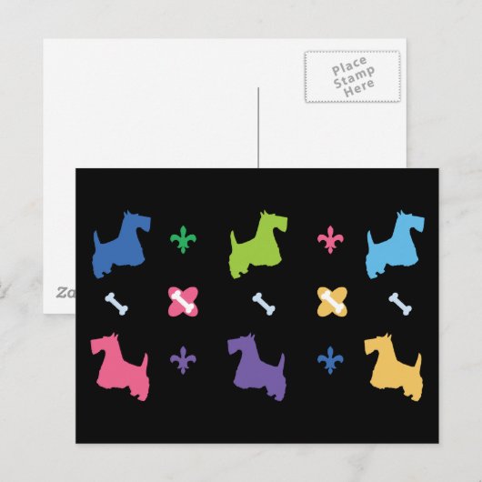 Scottish Terrier Postkarte (Vorne/Hinten)