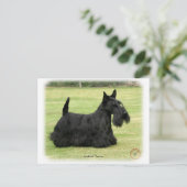 Scottish Terrier Postkarte (Stehend Vorderseite)