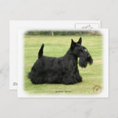 Scottish Terrier Postkarte (Vorne/Hinten)
