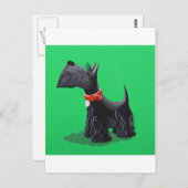 Scottish Terrier Postkarte (Vorne/Hinten)