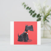 Scottish Terrier Postkarte (Stehend Vorderseite)