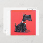 Scottish Terrier Postkarte (Vorne/Hinten)
