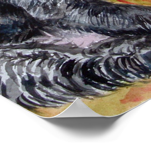 Scottish Terrier Print Poster (Ecke)