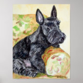 Scottish Terrier Print Poster (Vorne)