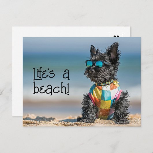 Scottish Terrier Puppy mit Sonnenbrille Postkarte (Vorne/Hinten)