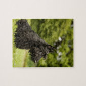 Scottish Terrier Puzzle (Horizontal)