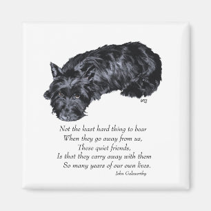 Scottish Terrier Rainbow Bridge Magnet