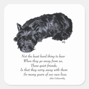 Scottish Terrier Rainbow Bridge Quadratischer Aufkleber