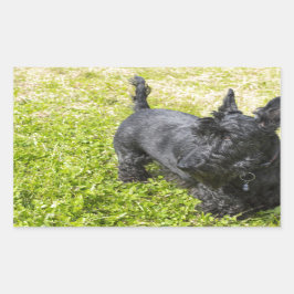 Scottish Terrier Rechteckiger Aufkleber