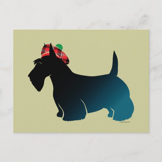 Scottish Terrier Red Kariert Hat Postkarte (Vorderseite)