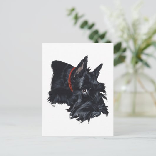 Scottish Terrier Resting Postkarte (Stehend Vorderseite)