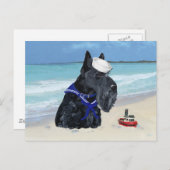Scottish Terrier Sailor Postkarte (Vorne/Hinten)