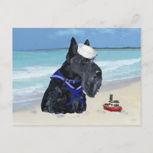 Scottish Terrier Sailor Postkarte