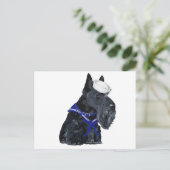 Scottish Terrier Sailor Postkarte (Stehend Vorderseite)