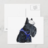 Scottish Terrier Sailor Postkarte (Vorne/Hinten)