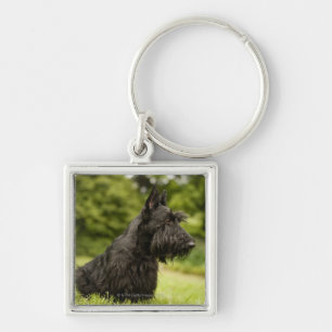 Scottish Terrier Schlüsselanhänger