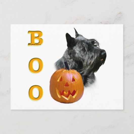 Scottish Terrier (schwarz) Boo Postkarte (Vorderseite)