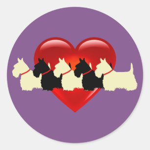 Scottish Terrier, schwarz/weiß, rotes Herz/Kragen Runder Aufkleber